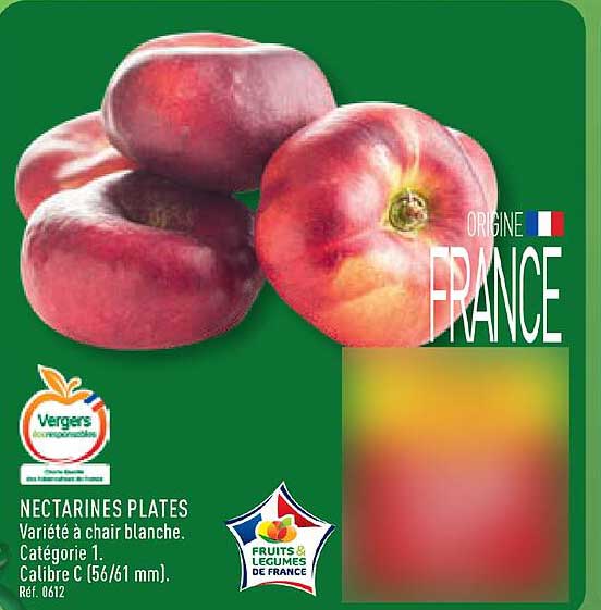 NECTARINES PLATES