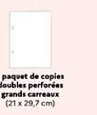 paquet de copies doubles perforées grands carreaux (21 x 29,7 cm)