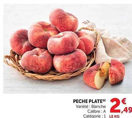 PECHE PLATE(6)