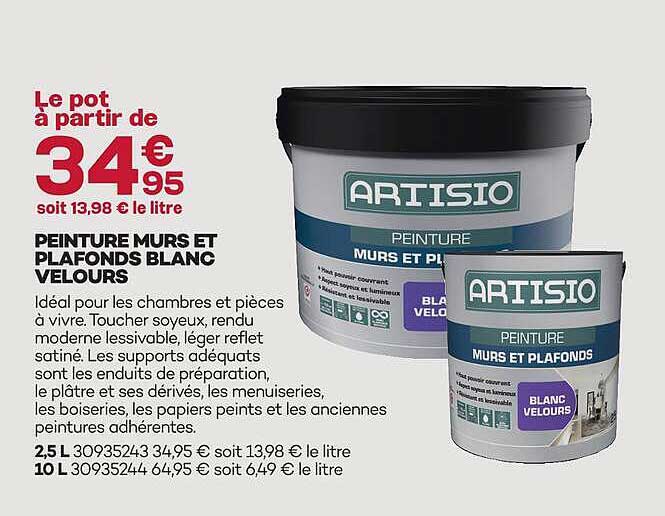 PEINTURE MURS ET PLAFONDS BLANC VELOURS