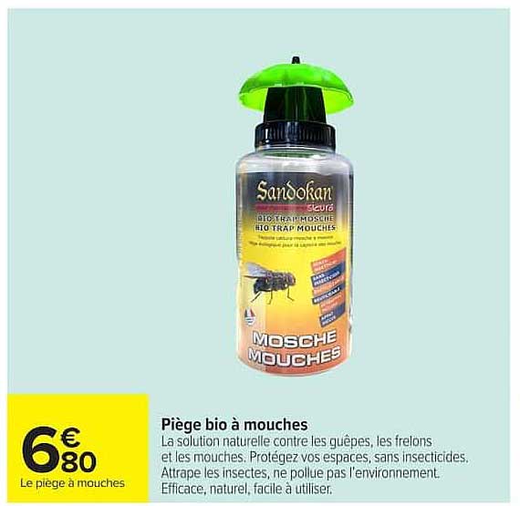 Piège bio à mouches