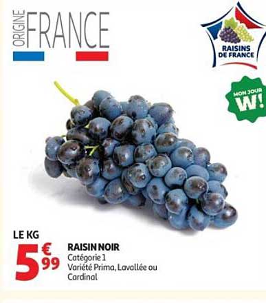 RAISIN NOIR