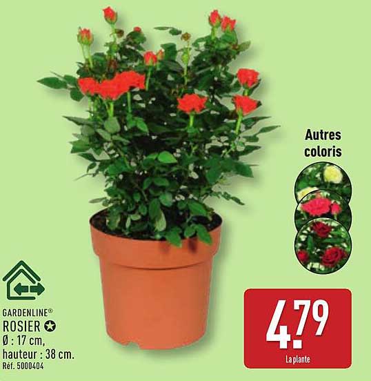 ROSIER
