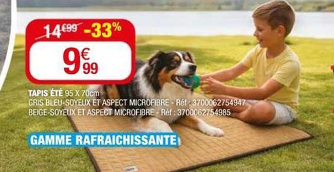 TAPIS ÉTÉ 95 X 70cm