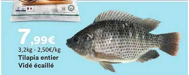 Tilapia entier Vidé écaillé