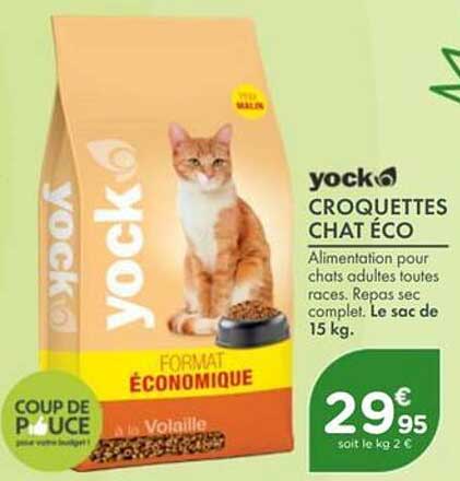 yock CROQUETTES CHAT ÉCO