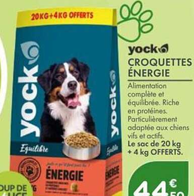 yock CROQUETTES ÉNERGIE