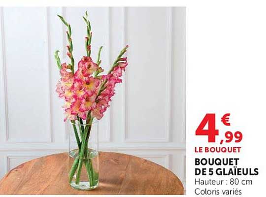 BOUQUET DE 5 GLAÏEULS