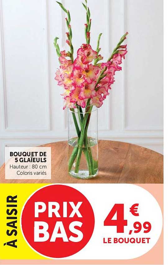 BOUQUET DE 5 GLAÏEULS