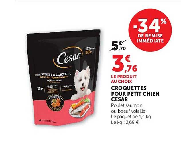 CROQUETTES POUR PETIT CHIEN CESAR