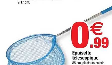 Epuisette télescopique