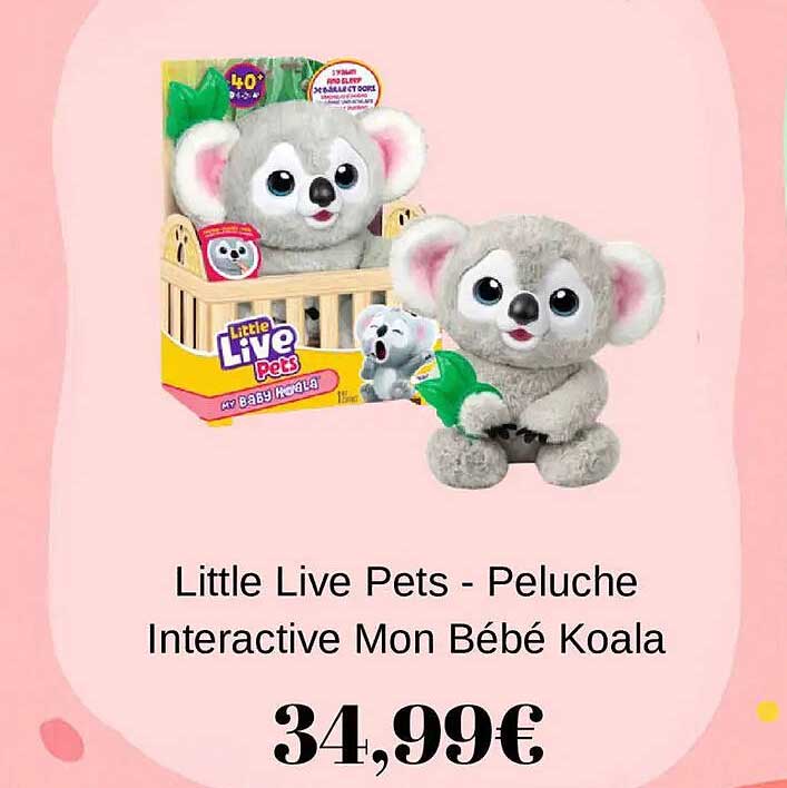 Little Live Pets - Peluche Interactive Mon Bébé Koala