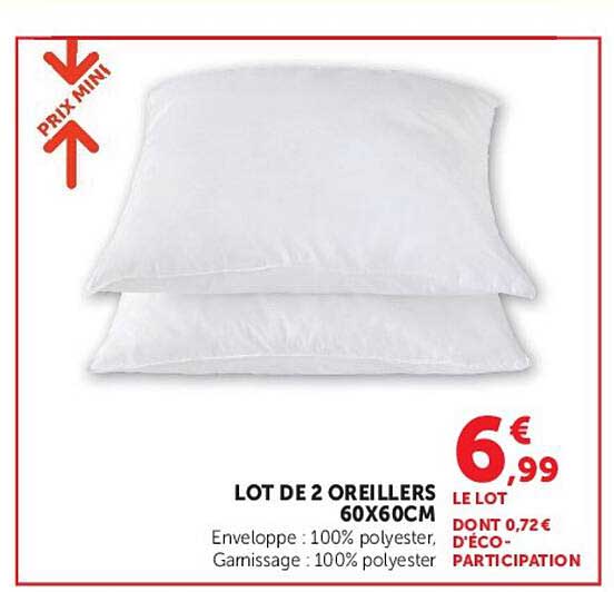 LOT DE 2 OREILLERS 60X60CM