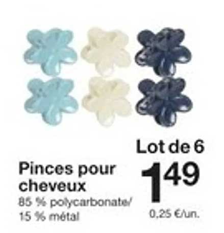 Lot de 6 Pinces pour cheveux
