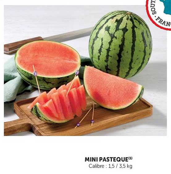 MINI PASTEQUE(1)