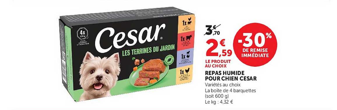 REPAS HUMIDE POUR CHIEN CESAR