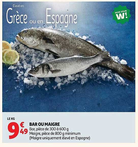 BAR OU MAIGRE
