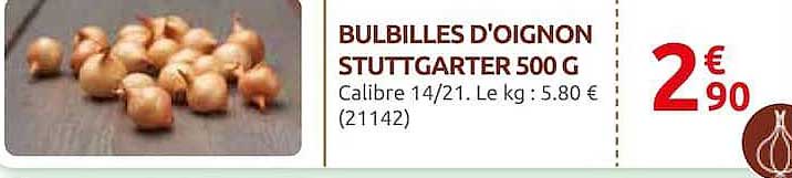 BULBILLES D'OIGNON STUTTGARTER 500 G