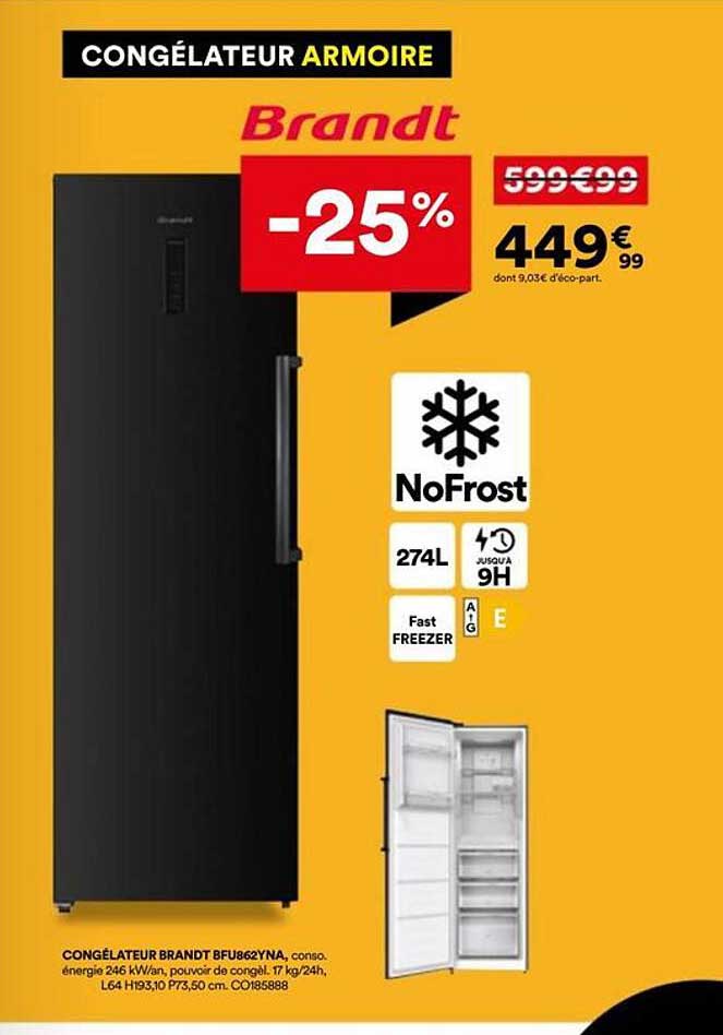 CONGÉLATEUR ARMOIRE