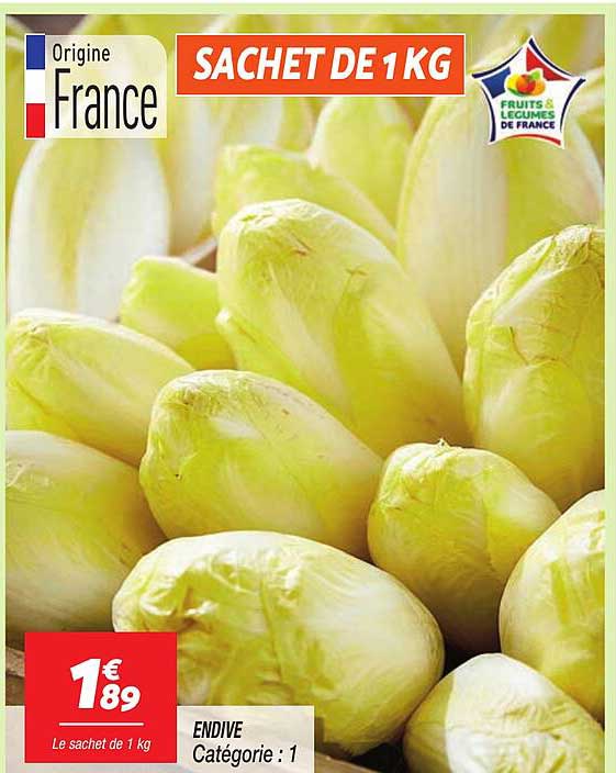ENDIVE