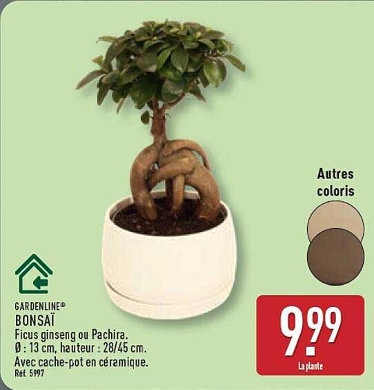 GARDENLINE® BONSAÏ