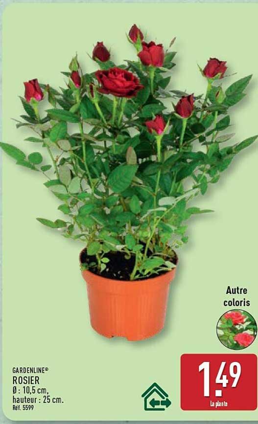 GARDENLINE® ROSIER