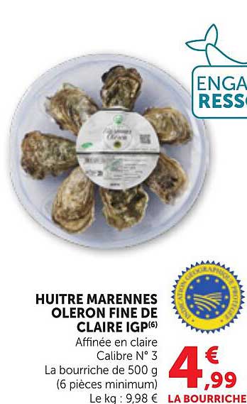 HUÎTRE MARENNES OLERON FINE DE CLAIRE IGP(6)