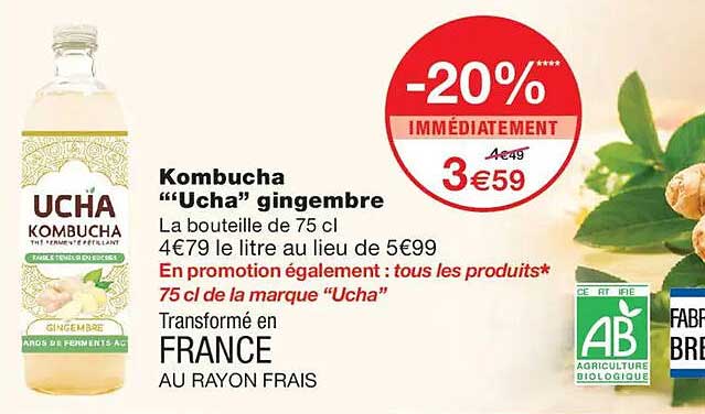 Kombucha “Ucha” gingembre