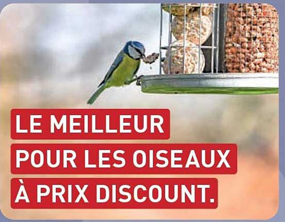 LE MEILLEUR POUR LES OISEAUX À PRIX DISCOUNT.