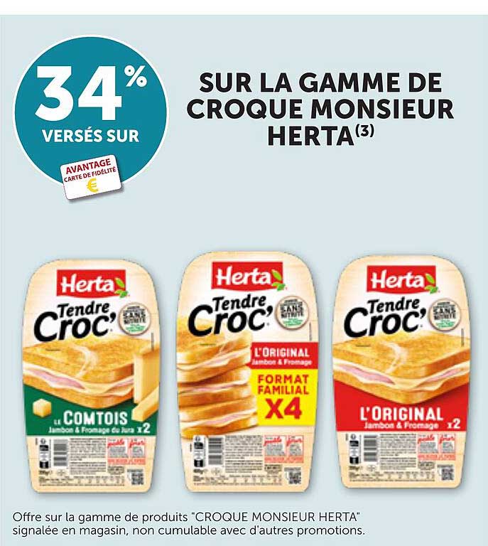 SUR LA GAMME DE CROQUE MONSIEUR HERTA(3)