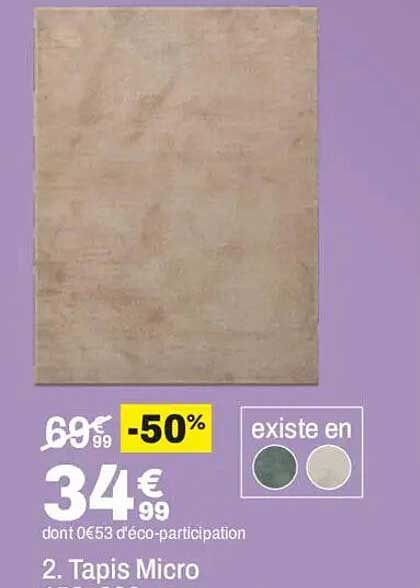 2. Tapis Micro
