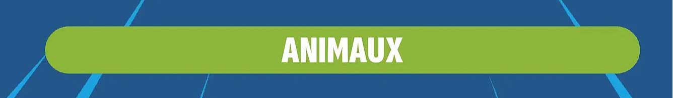 ANIMAUX