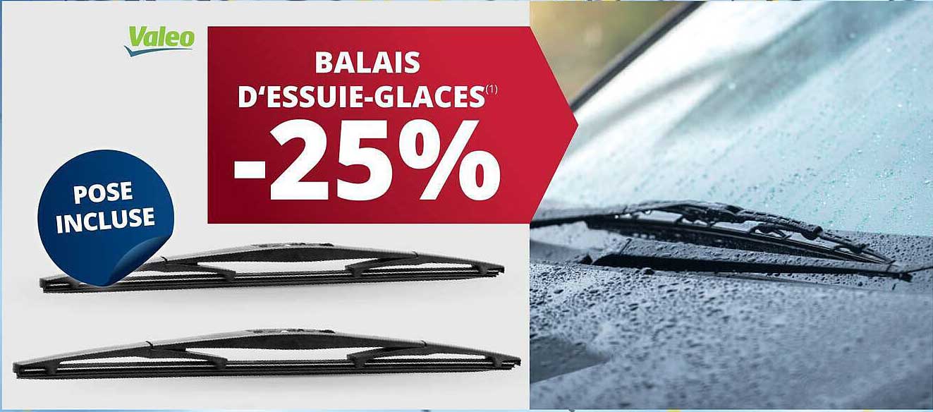 BALAIS D'ESSUIE-GLACES(-25%)