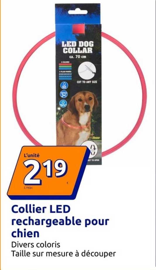 Collier LED rechargeable pour chien