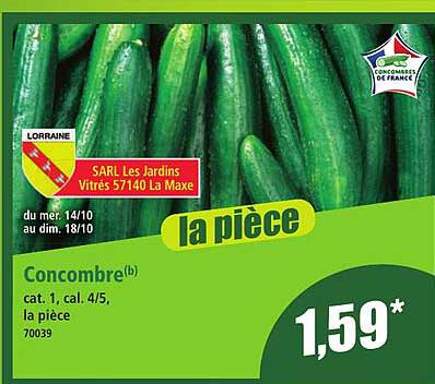 Concombre(b)