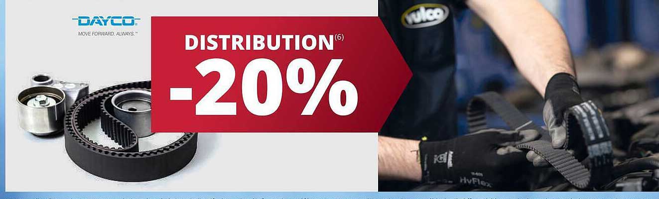 DISTRIBUTION(6) -20%