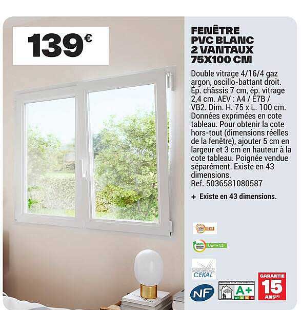 FENÊTRE PVC BLANC 2 VANTAUX 75X100 CM