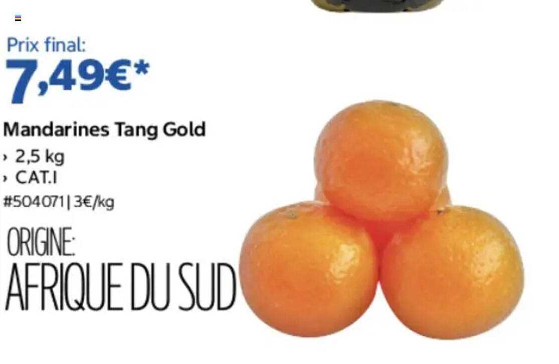 Mandarines Tang Gold