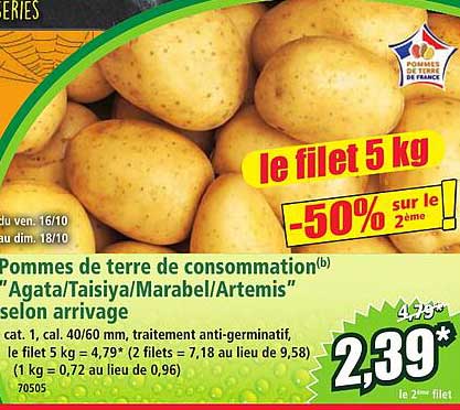 Pommes de terre de consommation "Agata/Taisiya/Marabel/Artemis" selon arrivage