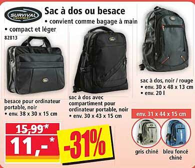 Sac à dos ou besace