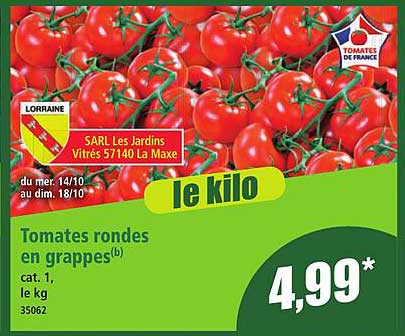 Tomates rondes en grappes