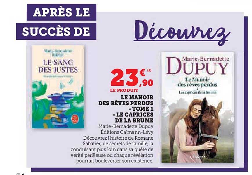 LE MANOIR DES RÊVES PERDUS - TOME 1 - LE CAPRICES DE LA BRUME