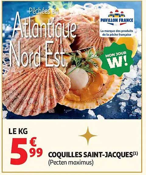 Sitemapcdatahttpshowtokedriinfocoquille Saint Jacques Auchan