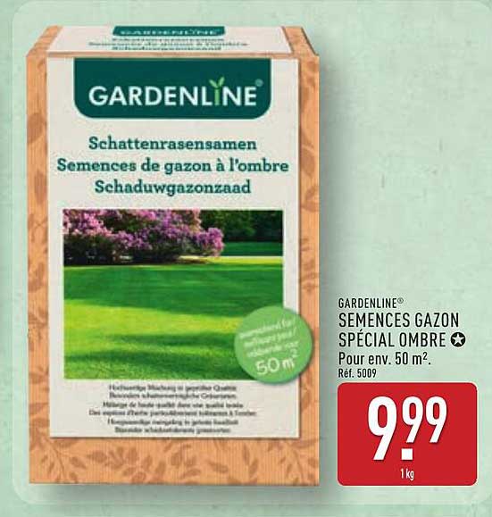 SEMENCES GAZON SPÉCIAL OMBRE