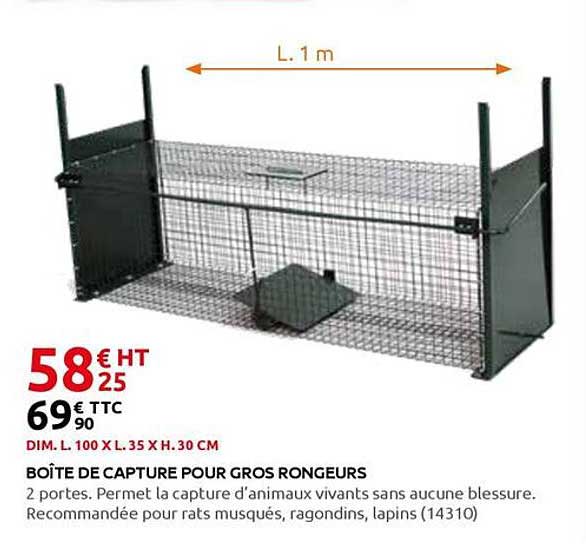 BOÎTE DE CAPTURE POUR GROS RONGEURS