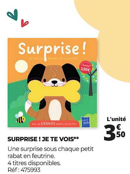 SURPRISE ! JE TE VOIS