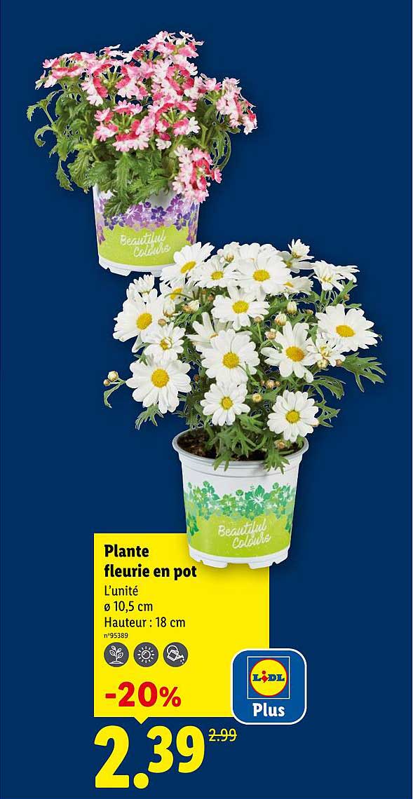 Sitemapcdatahttpsmodeinf Inetcombananier En Pot Lidl