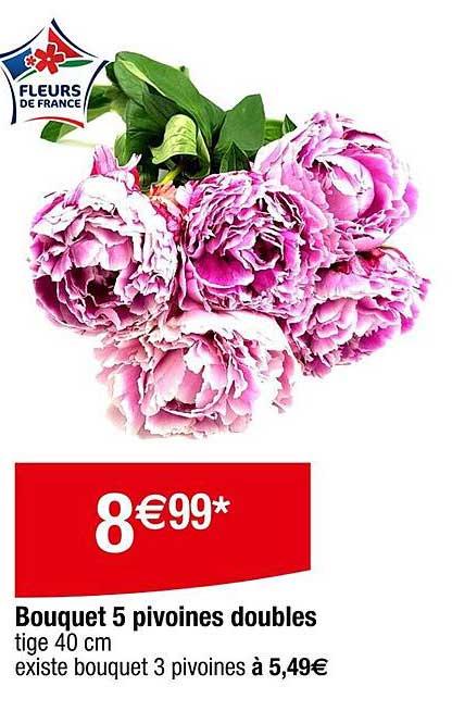 Bouquet 5 pivoines doubles
