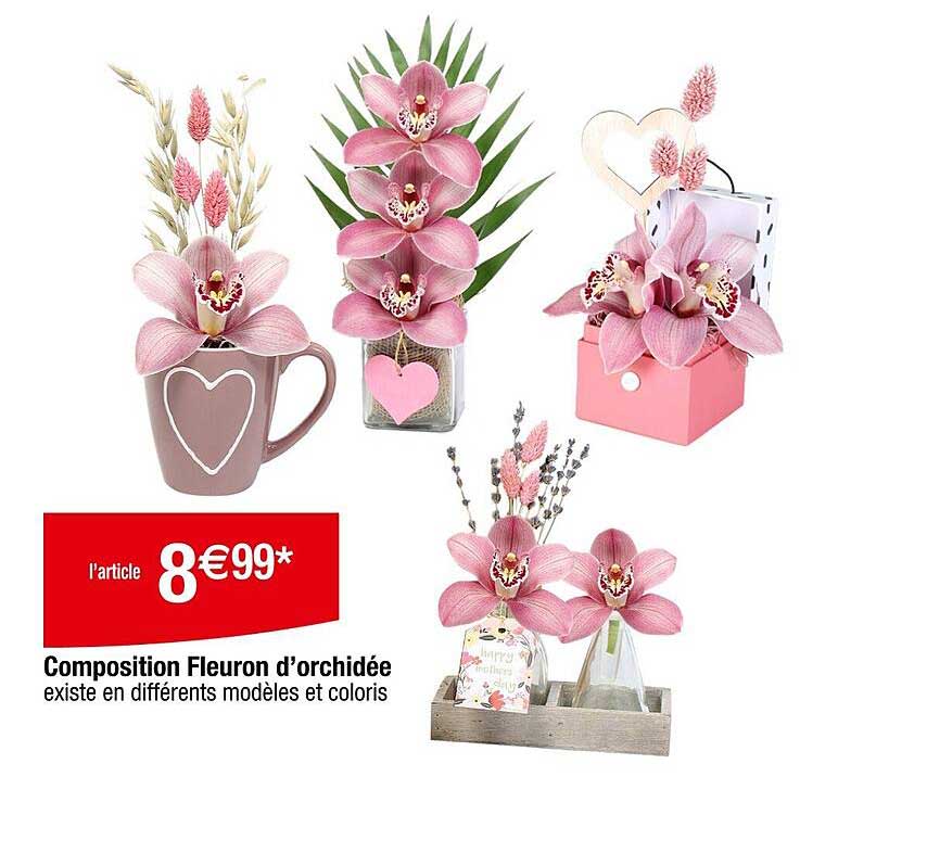 Composition Fleuron d’orchidée