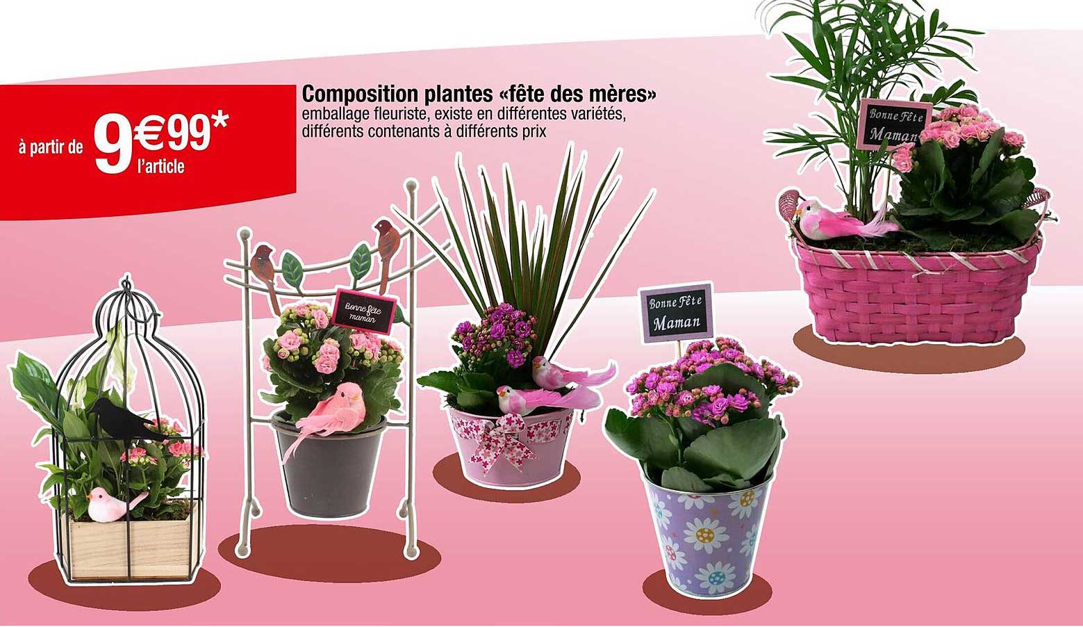 Composition plantes « fête des mères »